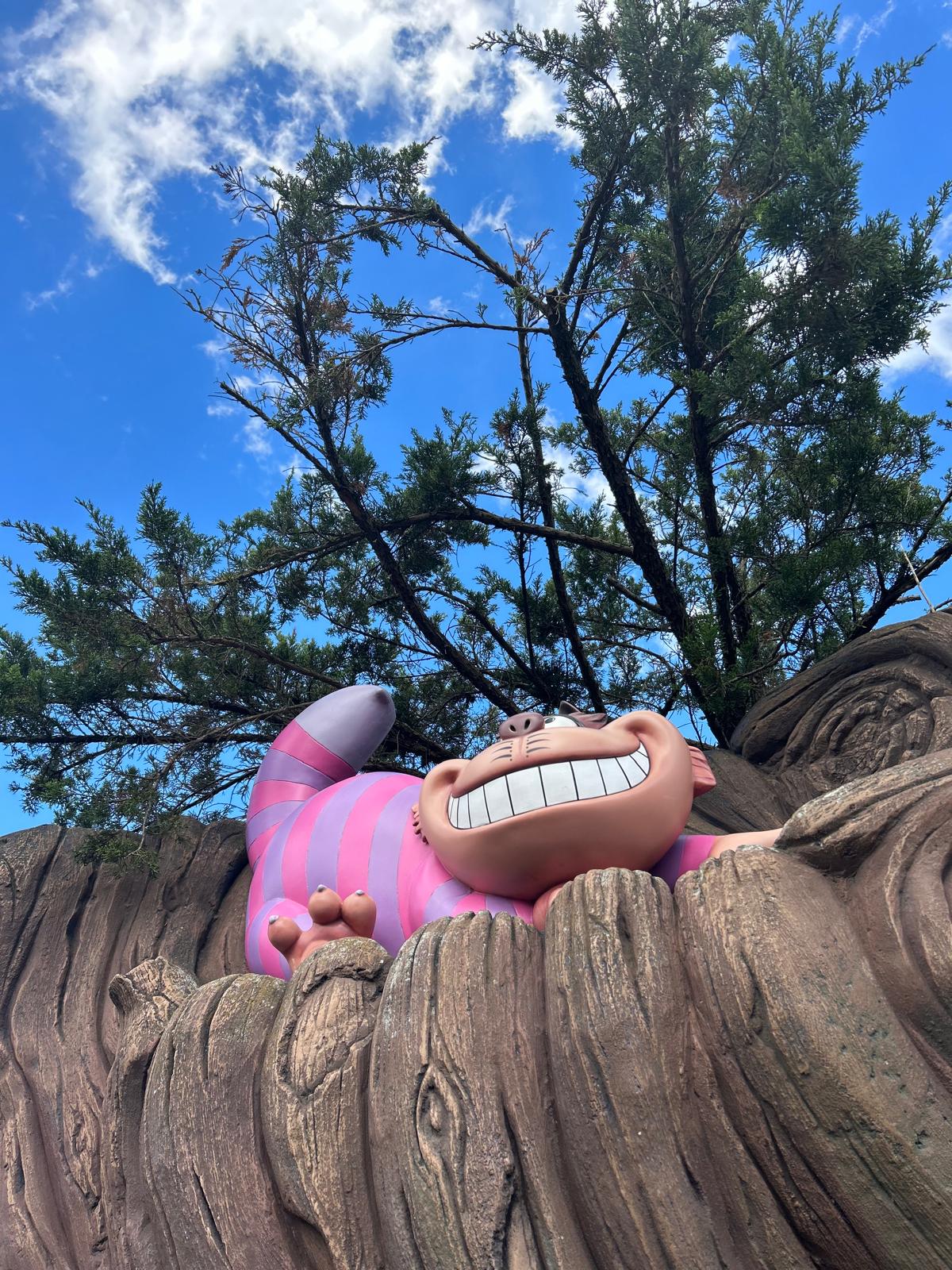 disneyland1